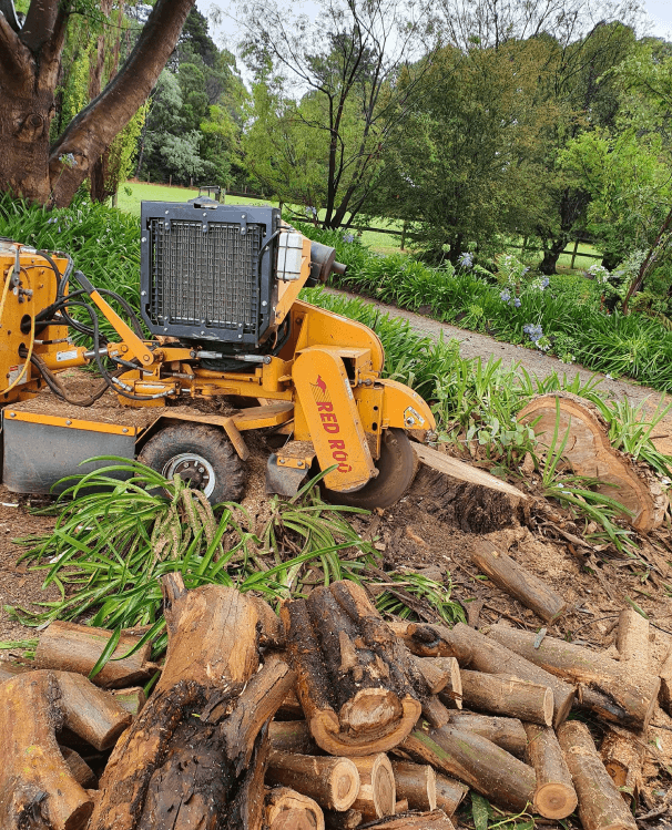 Stump Grinding